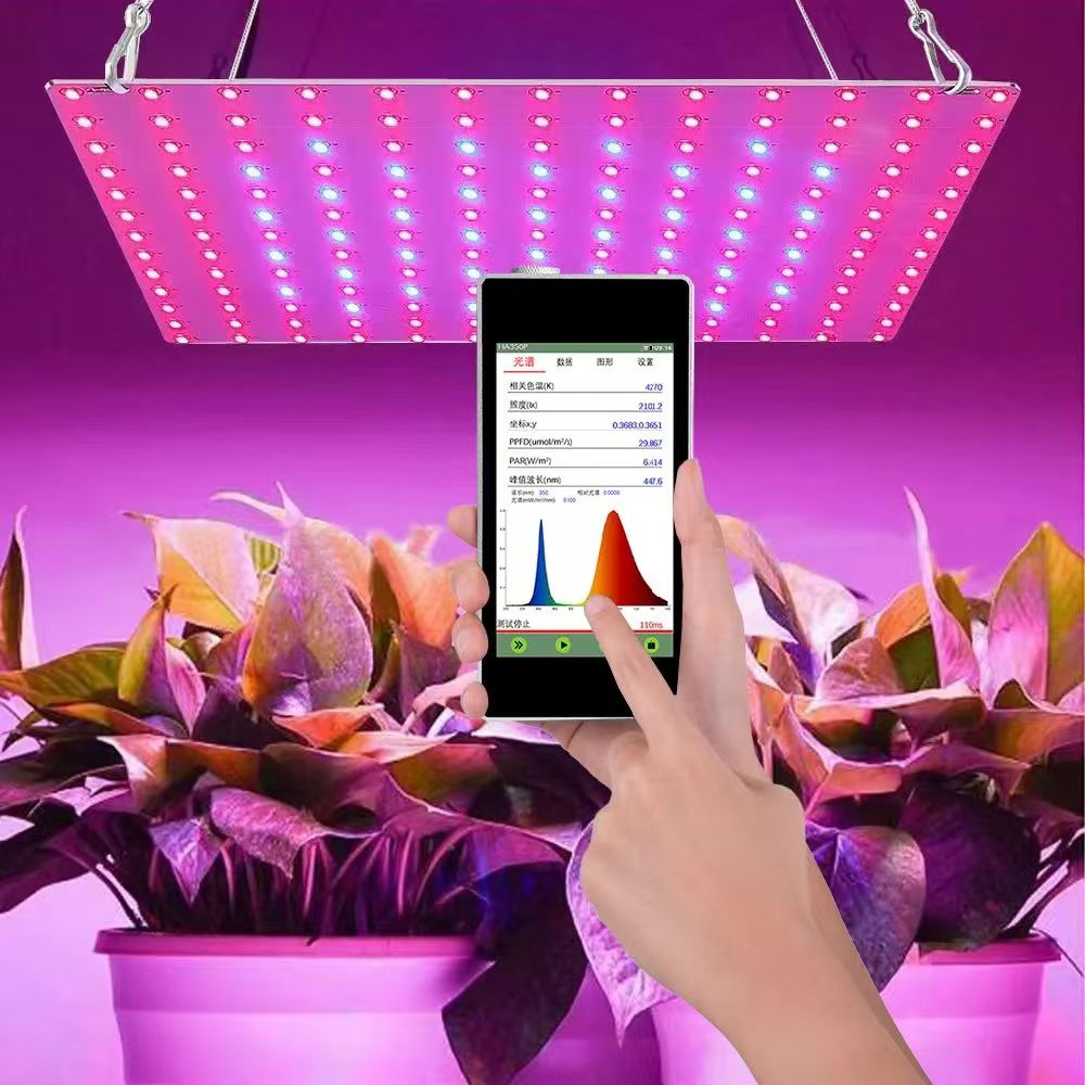 PAR、PPF、PPFD 和 DLI——每个LED 种植者都应该知道的术语